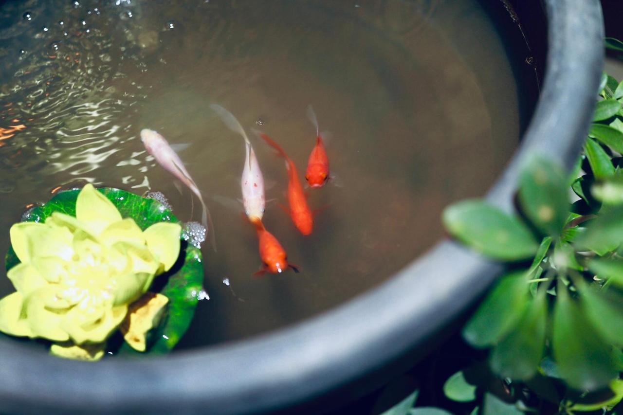 Pusu Zen Collection Hotel Xi'An ซีอาน ภายนอก รูปภาพ